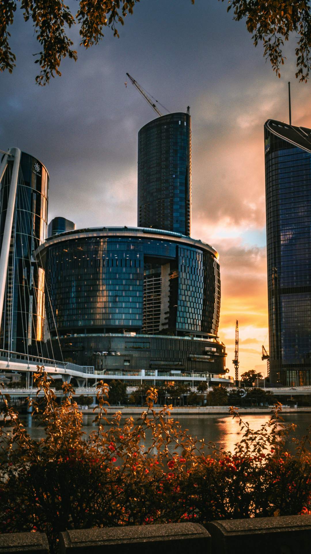 Bardon Property Management