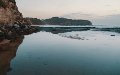 How to Find a Good Property Manager on the Northern Beaches